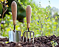 Landscape Gardening Questions Image
